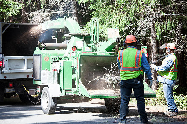 Best Weed Control  in Palm River Clair Mel, FL